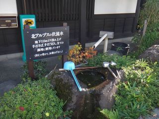 DSC02340.jpg