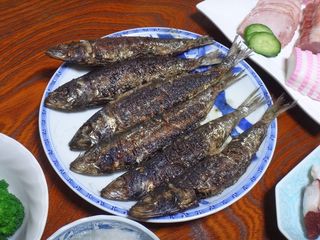 DSC02400.jpg