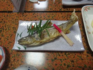 DSC02529.jpg