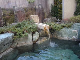 DSC02795.jpg