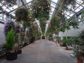 DSC02989.jpg
