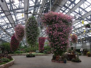 DSC02992.jpg