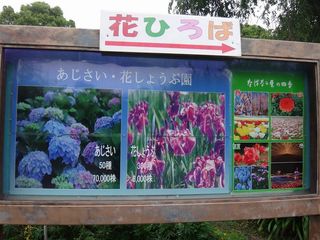 DSC03024.jpg