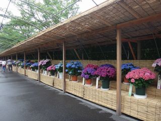 DSC03025.jpg
