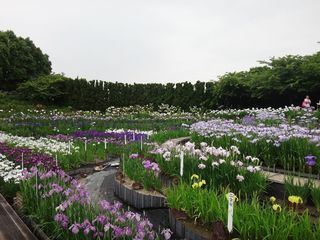 DSC03041.jpg