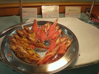 DSC03170.jpg