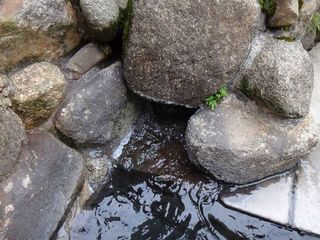 DSC03176.jpg