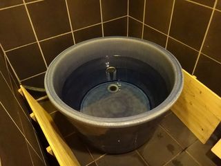 DSC03447.jpg