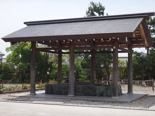 DSC03646.jpg