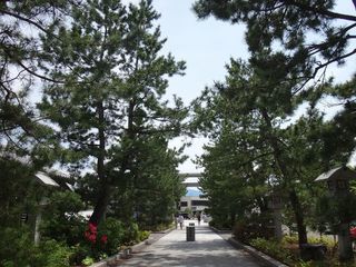 DSC03651.jpg