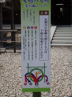 DSC03654.jpg