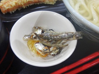 DSC03662.jpg