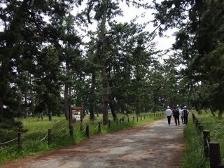 DSC03697.jpg
