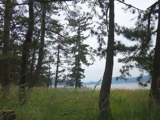 DSC03699.jpg