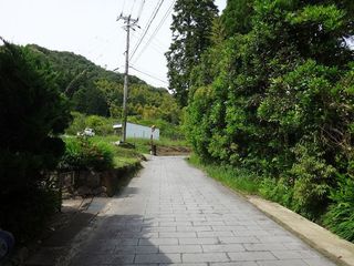 DSC03769.jpg