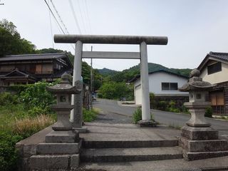 DSC03771.jpg