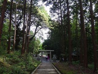 DSC03795.jpg
