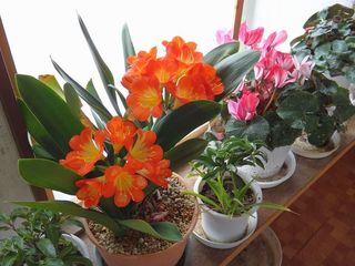 DSC03900.jpg