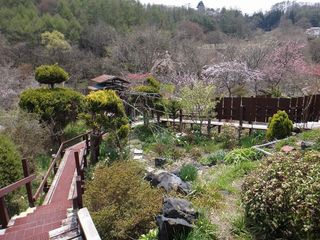 DSC03921.jpg