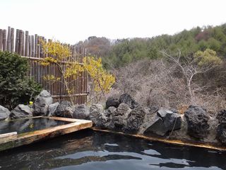 DSC03928.jpg