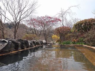 DSC03937.jpg