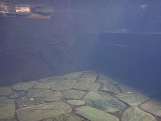 DSC03960.jpg