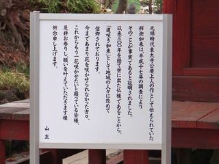 DSC04196.jpg