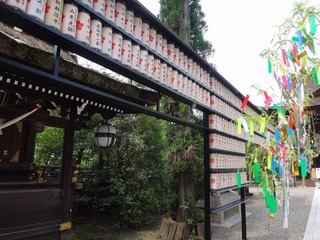 DSC05122.jpg