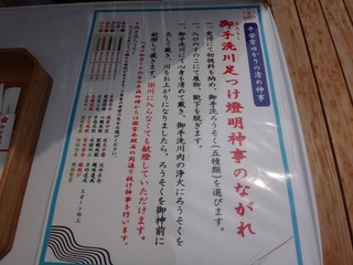 DSC05134.jpg