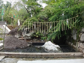 DSC05139.jpg