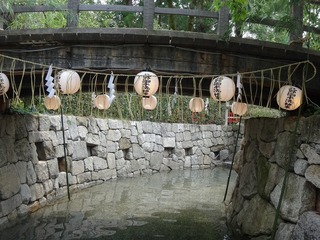 DSC05142.jpg