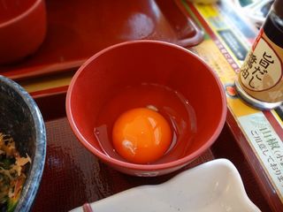 DSC05194.jpg