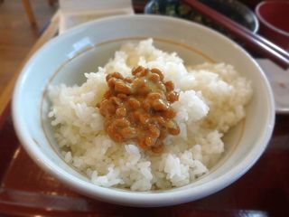 DSC05195.jpg