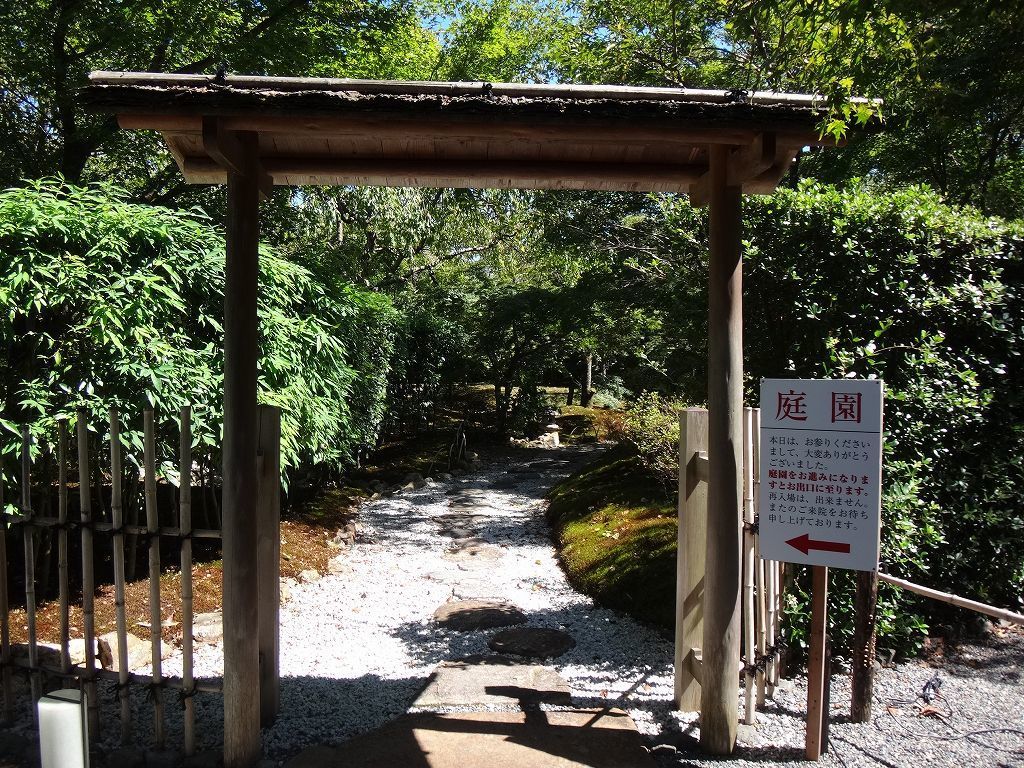 将軍塚青龍殿 京都市山科区 緑の木々で覆われた桜と紅葉の名所 ウィローの湯煙 食べ物日記