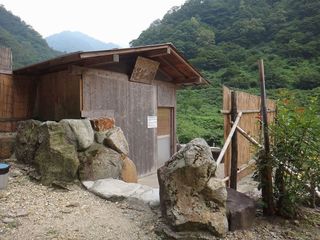 DSC05348.jpg