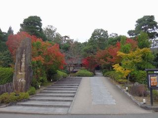 DSC05395.jpg