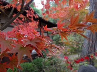 DSC05401.jpg