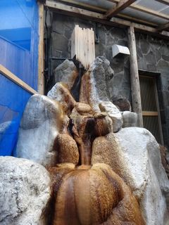 DSC05402.jpg