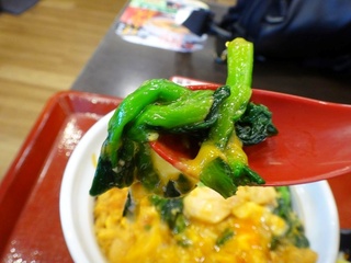 DSC05430.jpg