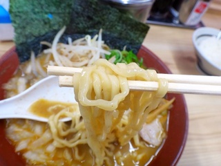DSC05600.jpg