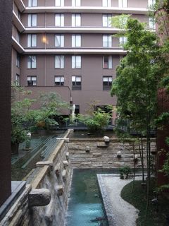 DSC05604.jpg