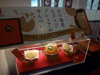 DSC05854.jpg
