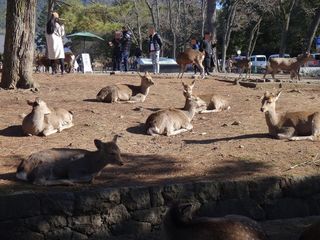 DSC06097.jpg