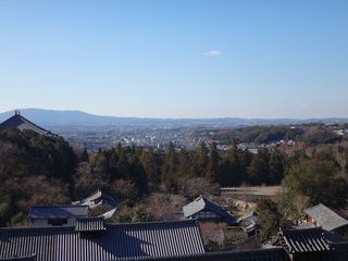 DSC06128.jpg