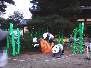 DSC06147.jpg