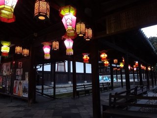 DSC06174.jpg