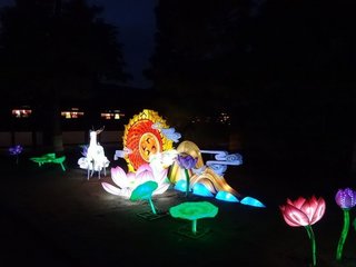 DSC06199.jpg