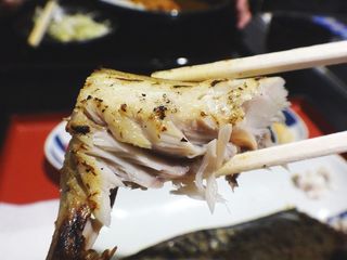 DSC06258.jpg
