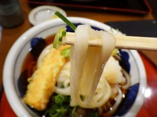 DSC06328.jpg