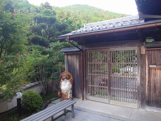 DSC06380.jpg